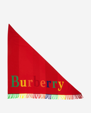 Burberry scarf