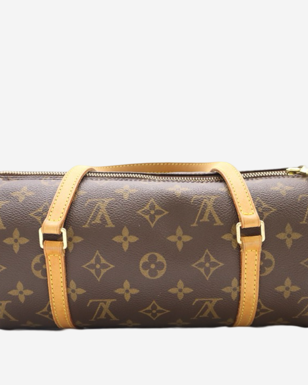 Louis Vuitton Papillon 26 Bag