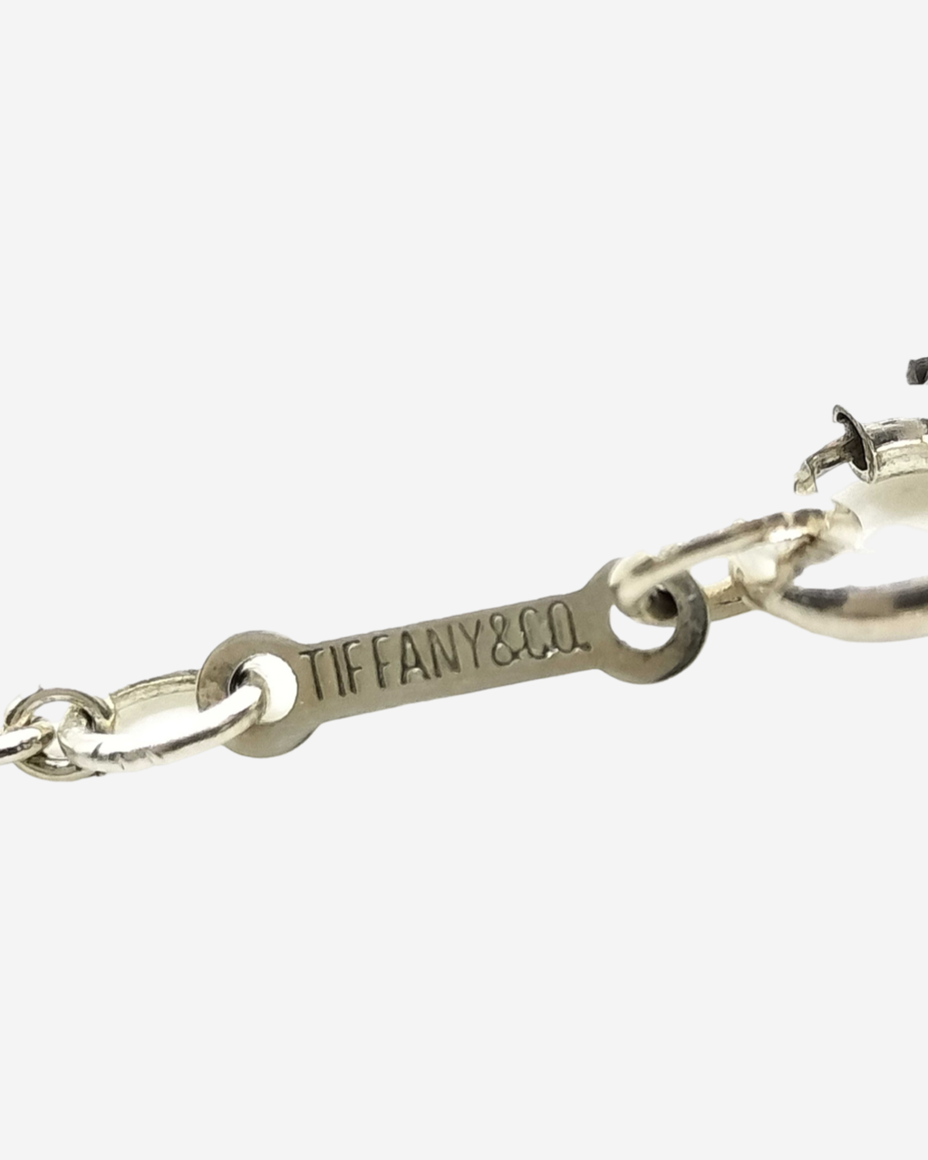 Tiffany &amp; Co. Bean x Elsa Peretti necklace